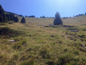 Trek Salam Montagne Chartreuse chamechaude (2) (Copier)