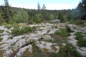 Trek Salam Montagne - Vercors - plateau Sornin - lapiaz calcaire erosion