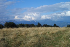 Trek Salam Montagne - Vercors - plateau Sornin - prairie espace ouvert pâturage