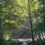 vercors-rif-bruyant-riviere-rayon-de-soleil-treks-salam-montagne