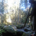 vercors-rif-bruyant-source-didgeridoo-charles-bousset-treks-salam-montagne