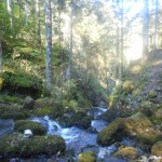 vercors-rif-bruyant-torrent-treks-salam-montagne